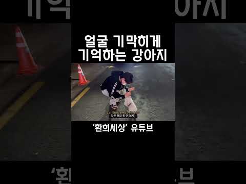 이렇게 반겨줄 수 있으면서..