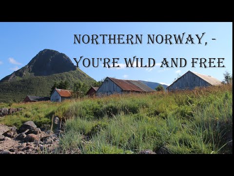 Ronja's AI  Song  ~ "Northern Norway,  You’re Wild and Free"