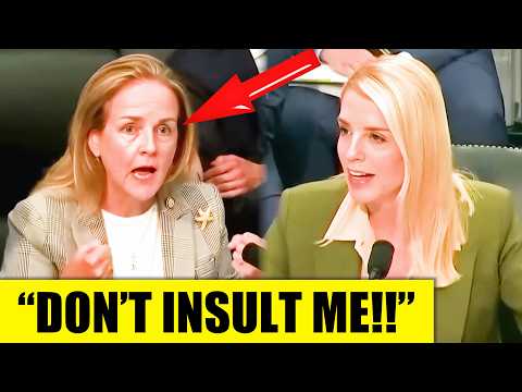 Pam Bondi HUMILIATES crazed Democrat with perfect comeback in front of congress