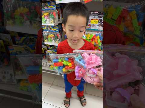 Bạn Chọn Lego Đa Sắc Thái Hay Lắp Ghép Cung Trăng Hồng Sắc Đồng