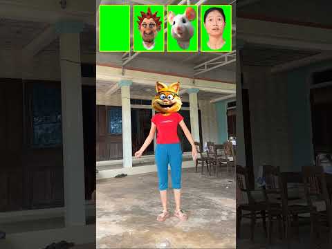 Hana's house has many hands, cats, men and mice