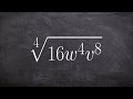 Understanding Exponents and Roots