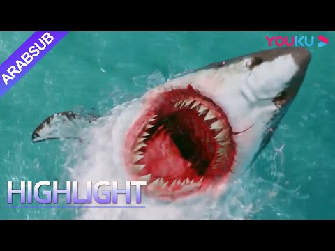 "الأخطبوط الكبير"｜ألقى الرجل في البحر وأنقذه الأخطبوط الصغير في لحظة خطيرة!｜أكشن/مغامرة/كارثة ｜YOUKU