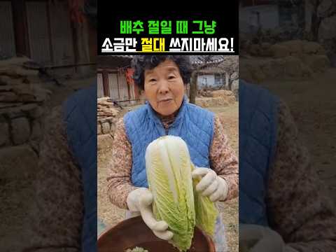 배추 절일 때, 그냥 소금만 절대 쓰지마세요! 금방 물러요!
