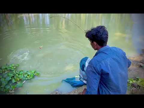 Best Fishing Video 🎣🐟 Fishing With Hook ~ Traditional Hook Fishing  Village Daily Life