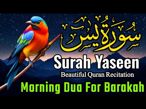 Surah Yasin (Yaseen) || سورہ یس 36 || Surah Yasin Full 7th Time || Morning Wazifa || Episode-026