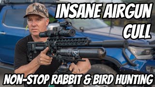 PCP Airgun Rampage! FX Impact M3 in Action | Non-Stop Rabbit & Bird Hunting | PARD Vision Optics