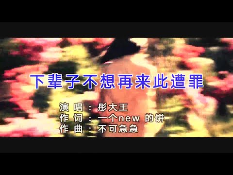 下辈子不想再来此遭罪-彤大王-演唱 KARAOKE