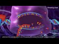 Understanding Gene Expression and Protein Synthesis