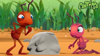 ¡Atascado en el cemento! | Caricaturas | Antiks | Videos Graciosos Para Niños | Oddbods