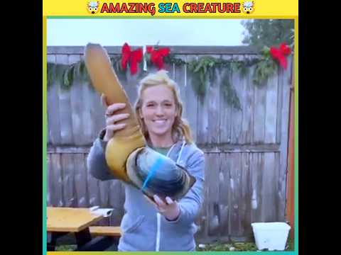 🤯😨Amazing Sea Creature #shorts #viral #sea #creature #wow #trending @AslamFacts