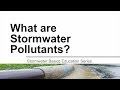 Stormwater Pollution and Management