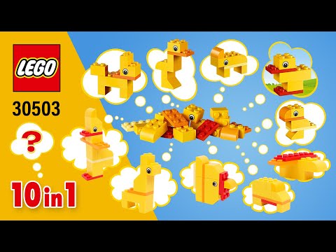 LEGO Animal Free Builds [10in1](30503)[16 pcs] Alternate Build Review @TopBrickBuilderReviews