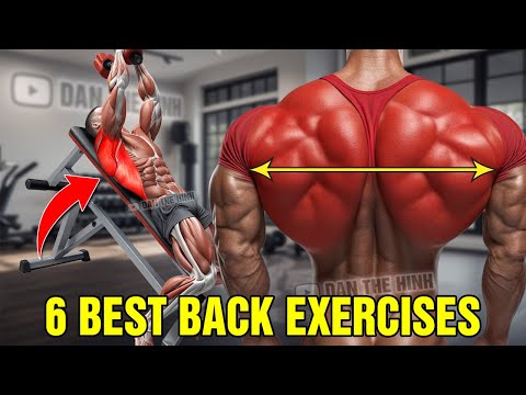 6 Best Back Exercises For Building Muscle