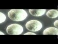 Transplantation and Stem Cell Innovations