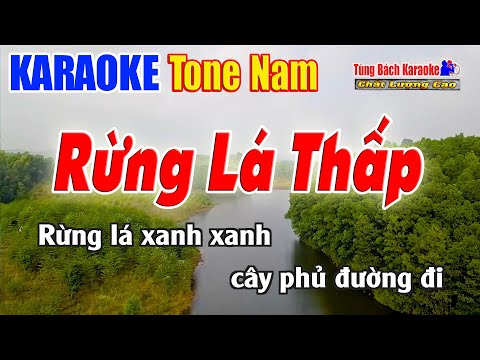 Rừng Lá Thấp Karaoke ( Tone Nam ) Beat Chuẩn Nhạc Sống Tùng Bách