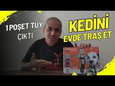 KEDİMİ EVDE TRAŞ ETTİM (Goldmaster Pati 9in1 traş makinesi testi) #kediler #cats #evcilhayvan