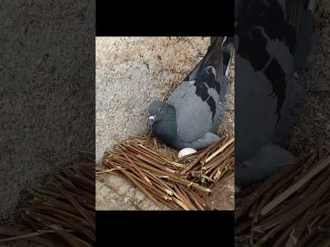 A Motherโs Silent Pain ๐๐ข