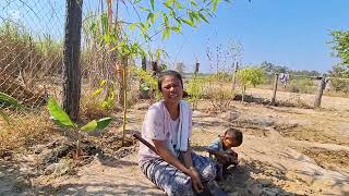 สาวทองมีครัวเป็ดไก่ตายหมด16 มกราคม ค.ศ. 2026