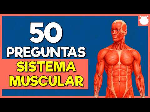 50 Preguntas sobre el Sistema Muscular | Trivia de Anatomía Humana