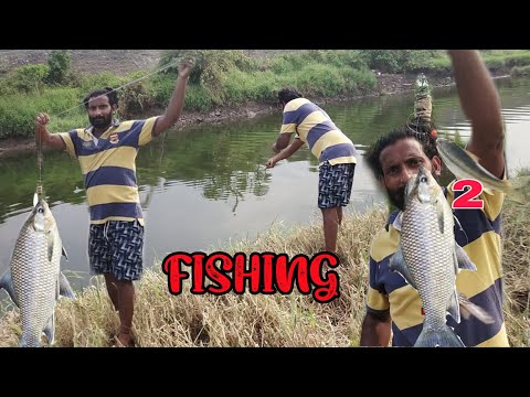 Best Rohu fishing/smallhook fishing with feeders/Ultimate Back to Back Fishing/kkp fishing vlogs new