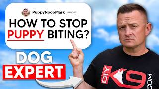 Pro Dog Trainer Answers YOUR Questions!