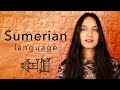 Sumerian Language and Culture Concepts
