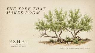 Eshel: Tamarisk | Preaching the Trees | FPC Dallas