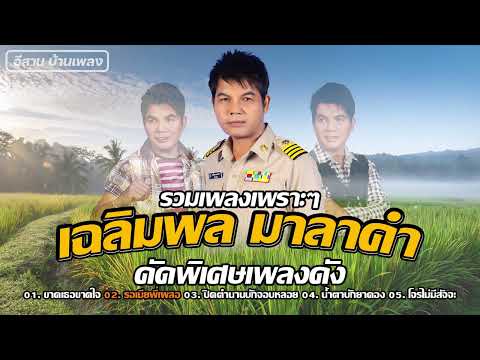 รวมเพลงเพราะๆ เฉลิมพล มาลาคำ คัดพิเศษเพลงดัง | ขาดเธอขาดใจ,รอเมียพี่เผลอ