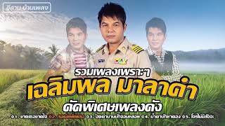รวมเพลงเพราะๆ เฉลิมพล มาลาคำ คัดพิเศษเพลงดัง | ขาดเธอขาดใจ,รอเมียพี่เผลอ