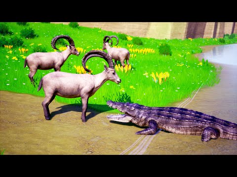 Crocodile Attack Goat To The Death  Wild Animal Battle  Wild Animal Battle Simulator