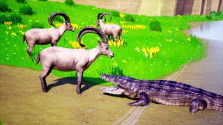 Crocodile Attack Goat To The Death  Wild Animal Battle  Wild Animal Battle Simulator