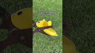 ya pueden escuchar mi voz