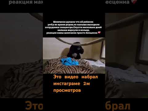 2миллион просмотров  инстаграме какие эмоции 🥲