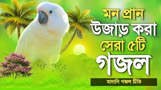 মনের দুঃখ দূর করে মন প্রাণ শীতল হবে গজল গুলি শুনলে | Most Peaceful Top 4 Bangla Gojol | Bangla Gojol
