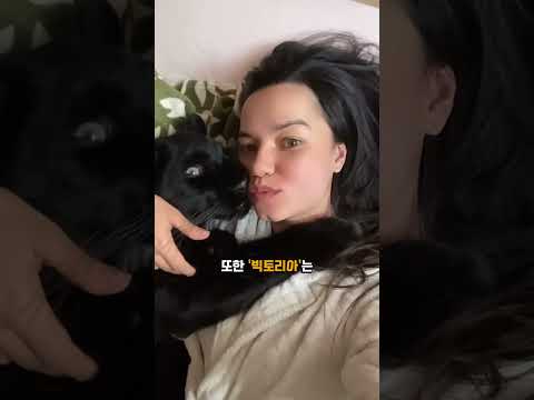 흑표범과 개의 아주 특별한 우정