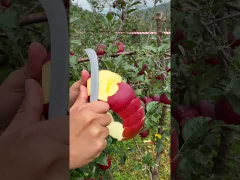Apples are so sweet and fresh - For fruit lovers #fruitcutting