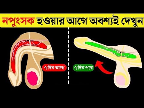 বাজে অভ্যাসে হারানো শক্তি ফিরে পাওয়ার উপায় | How To Recover Energy in No PMO | Success Zone