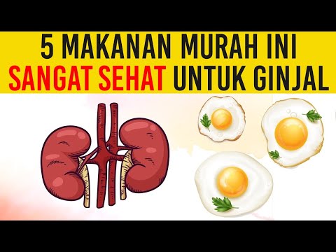 5 MAKANAN SEHAT UNTUK GINJAL YANG PERLU DI MAKAN SETIAP HARI