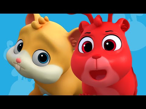 Hamster Party! 🐹 | Morphle's Magic Universe 🌌 | Adventure Cartoons for Kids