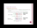 Genetic Mutations and Their Effects