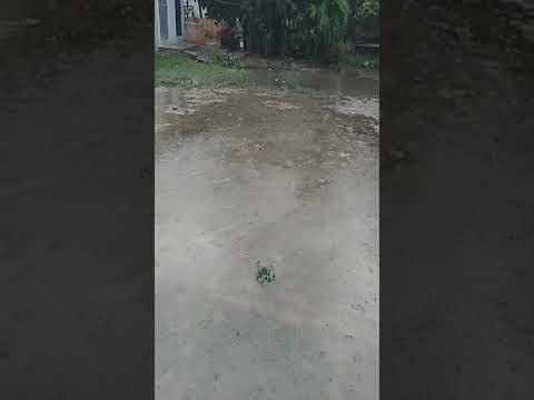 pichhale 4 ghanto se barish ho rahi hai 💯#comedyshorts #comedyvideos #youtubeshorts