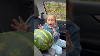 WoW So Cute 🍉😆😍💙