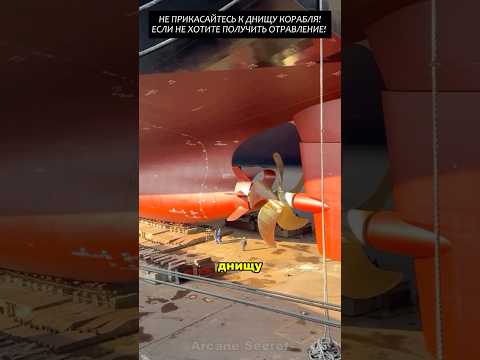 Не прикасайтесь к днищу корабля, если не хотите получить отравление!#2025 #факты #новости #viral