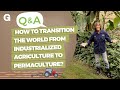 Industrial vs. Urban Agriculture Concepts
