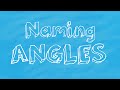 Types and Properties of Angles