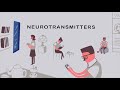 Neurotransmission and Signal Transmission