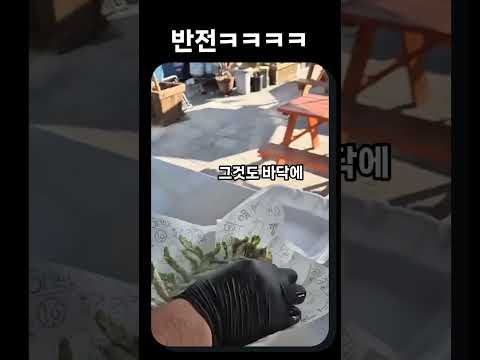 거긴 왜 뿌려ㅋㅋㅋㅋ