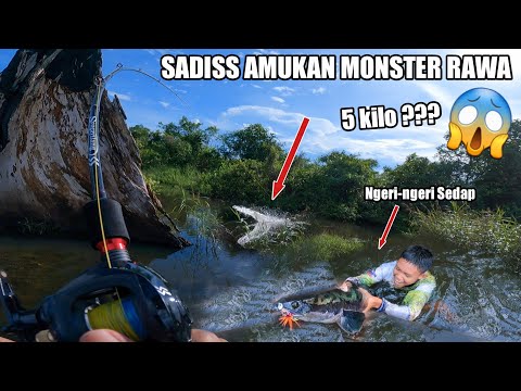 NGERI !!! Mancing Saat Rawa Banjir, Ikan Monster 5 Kilo Terangkat 😱😱😱