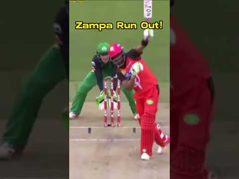 Rarest Moments In Cricket!